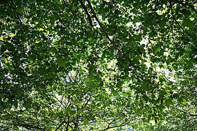 任天堂Switch价格目前暂不会变 但未来或将涨价